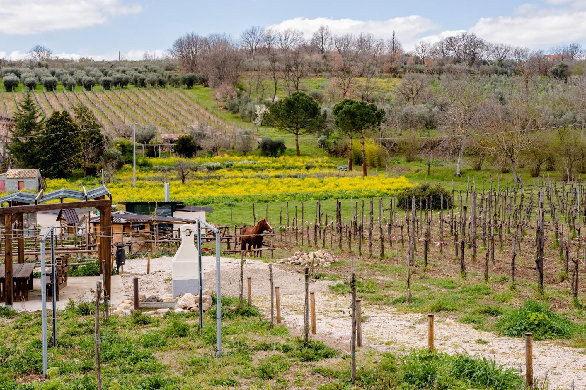 Il Poggio Degli Antichi Sapori Villa Paternopoli Eksteriør bilde